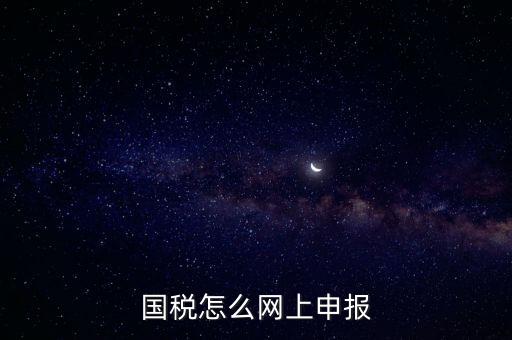 國(guó)稅怎么網(wǎng)上申報(bào)