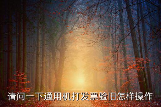 定額通用發(fā)票如何驗舊，請問一下通用機(jī)打發(fā)票驗舊怎樣操作