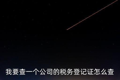 如何查企業(yè)的稅收記錄，想查一個(gè)公司的稅費(fèi)情況怎么查