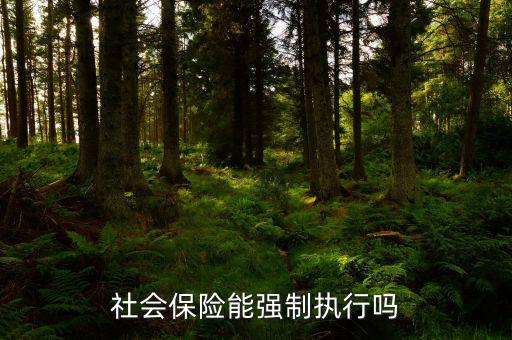 社會(huì)保險(xiǎn)費(fèi)如何執(zhí)行，社會(huì)保險(xiǎn)能強(qiáng)制執(zhí)行嗎