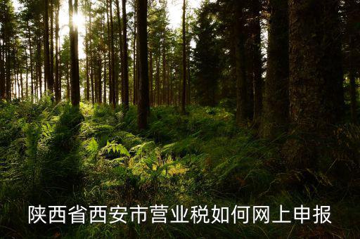 陜西省國(guó)稅網(wǎng)如何報(bào)稅，如何在陜西國(guó)稅官網(wǎng)上查找并打印2016年12月份的納稅申報(bào)表請(qǐng)高