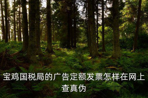 國(guó)稅定額發(fā)票如何查驗(yàn)，國(guó)稅的定額發(fā)票怎么辨別真假制作的跟假的似的
