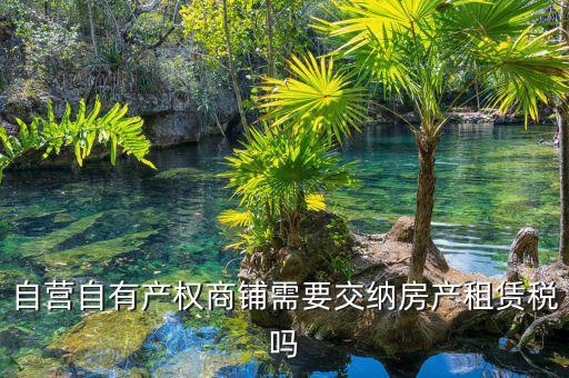 自有商鋪如何繳租賃稅，自有商鋪 是否交出租稅