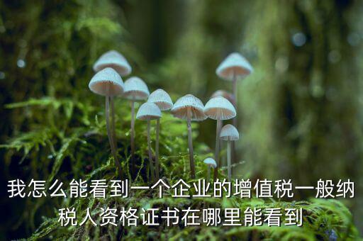 增值稅一般納稅人資格如何查詢，重慶國(guó)稅網(wǎng)如何查詢企業(yè)是否一般納稅人