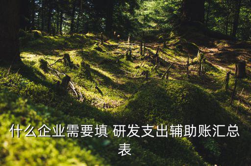 研發(fā)支出 輔助賬匯總表如何填寫(xiě)，什么企業(yè)需要填 研發(fā)支出輔助賬匯總表