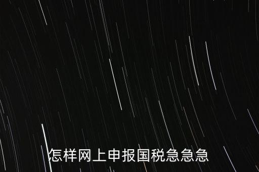 怎樣網(wǎng)上申報(bào)國(guó)稅急急急