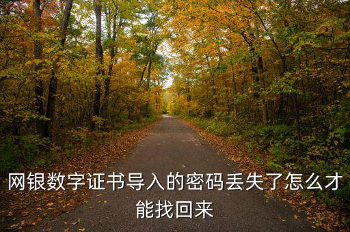 數(shù)字證書密碼錯(cuò)誤如何找回，營(yíng)業(yè)執(zhí)照數(shù)字證書密碼忘記了 怎么辦