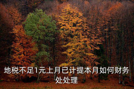 財務處如何落實數據地稅，地稅不足1元上月已計提本月如何財務處處理