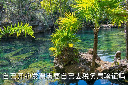 如何去稅務(wù)局驗(yàn)證發(fā)票嗎，發(fā)票怎么去稅務(wù)局驗(yàn)證需要什么資料