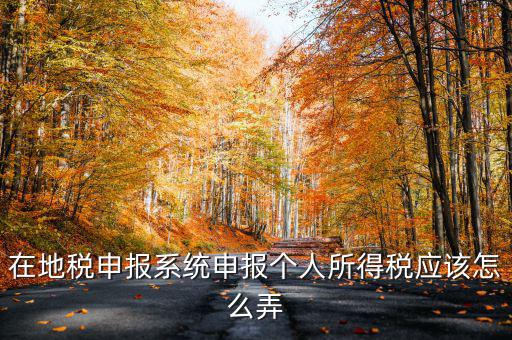 如何在北京地稅局申報個稅，在地稅申報系統(tǒng)申報個人所得稅應(yīng)該怎么弄