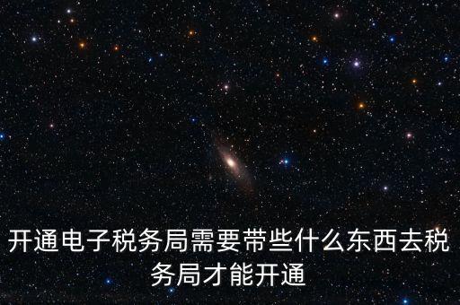 開通電子稅務局需要帶些什么東西去稅務局才能開通
