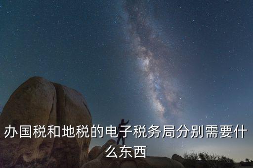 辦國稅和地稅的電子稅務局分別需要什么東西