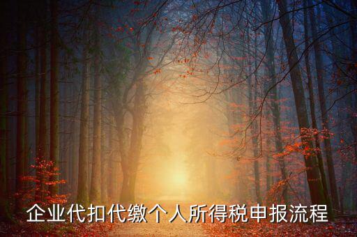 網(wǎng)上如何進入代扣代繳申報，企業(yè)代扣代繳個人所得稅申報流程
