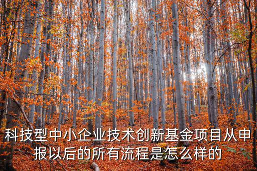 科技型優(yōu)惠如何備案，研發(fā)費(fèi)用加計(jì)扣除優(yōu)惠備案的要點(diǎn)有哪些