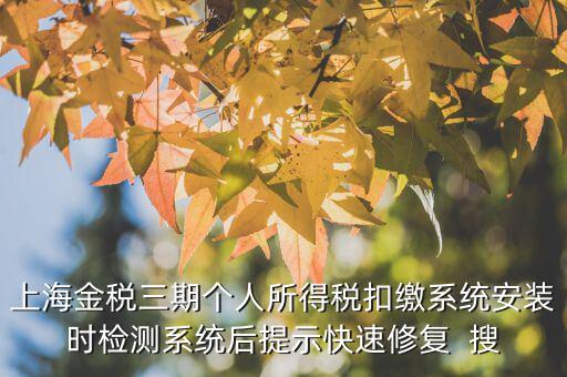 個稅安裝包如何恢復，上海金稅三期個人所得稅扣繳系統(tǒng)安裝時檢測系統(tǒng)后提示快速修復  搜