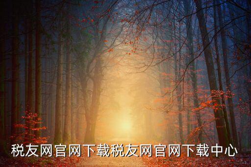 稅友如何下載，個(gè)稅在稅友網(wǎng)上下載下來了然后怎么安裝