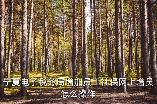 寧夏電子稅務(wù)系統(tǒng)如何開(kāi)通，開(kāi)通電子稅務(wù)局需要帶些什么東西去稅務(wù)局才能開(kāi)通