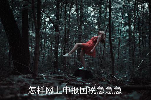 國稅網(wǎng)上稅務(wù)如何申報，怎樣網(wǎng)上申報國稅急急急