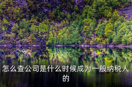 如何查詢一般人納稅認定時間，怎么查公司是什么時候成為一般納稅人的