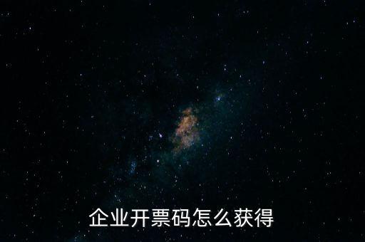 廈門國(guó)稅如何申請(qǐng)開票二維碼，企業(yè)開票碼怎么獲得