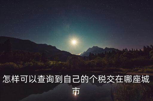 如何查詢個(gè)人所得稅所交地點(diǎn)，怎樣可以查詢到自己的個(gè)稅交在哪座城市