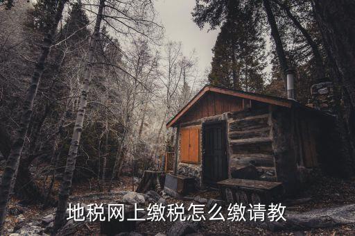 地稅如何交稅嗎，地稅網(wǎng)上繳稅怎么繳請教