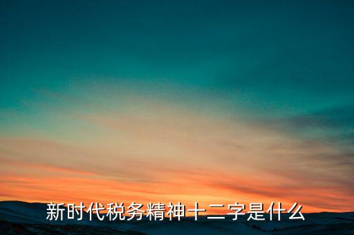 新時代稅務精神十二字是什么