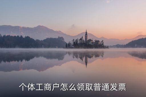 個(gè)體工商戶怎么領(lǐng)取普通發(fā)票