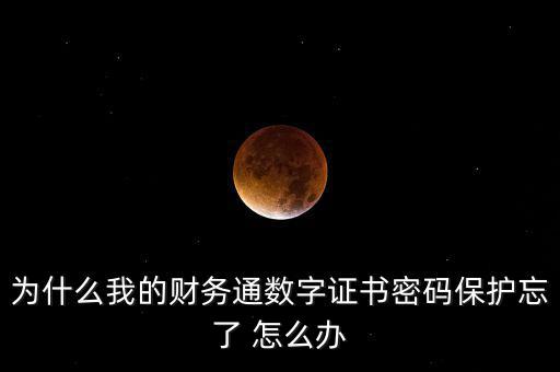 為什么我的財(cái)務(wù)通數(shù)字證書密碼保護(hù)忘了 怎么辦