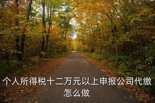 如何做好12萬元申報(bào)征收工作，個(gè)人所得稅十二萬元以上申報(bào)公司代繳怎么做