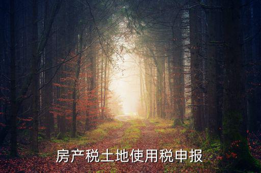 金稅三期如何申報(bào)土地使用稅，房產(chǎn)稅土地使用稅申報(bào)