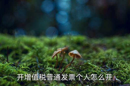 普票如何開給個人，增值稅普通發(fā)票開個人需要什么資料