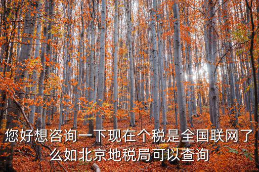 您好想咨詢一下現(xiàn)在個稅是全國聯(lián)網(wǎng)了么如北京地稅局可以查詢