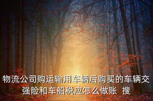 物流公司購運輸用車輛后購買的車輛交強(qiáng)險和車船稅應(yīng)怎么做賬  搜