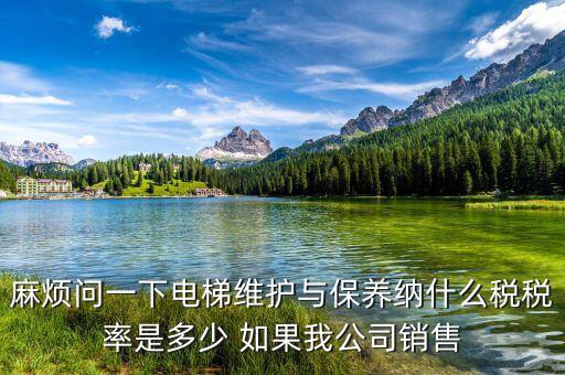 麻煩問一下電梯維護(hù)與保養(yǎng)納什么稅稅率是多少 如果我公司銷售