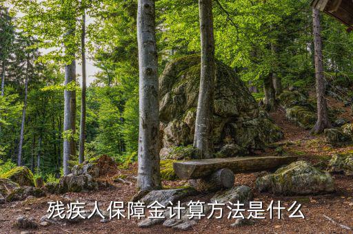 廣西殘疾人保障金如何計算，殘疾人保障金怎么計算