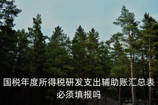 研發(fā)支出輔助賬匯總表該如何填寫(xiě)，什么企業(yè)需要填 研發(fā)支出輔助賬匯總表