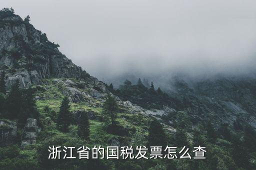 浙江的定額發(fā)票如何查詢，浙江省的國稅發(fā)票怎么查