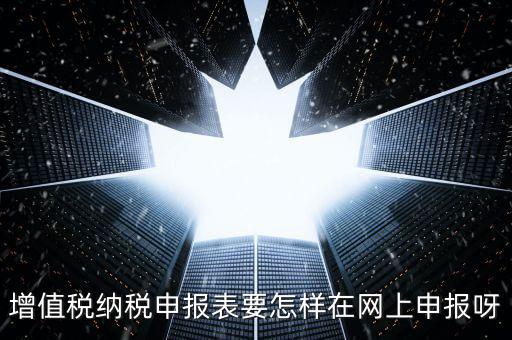 增值稅納稅申報表要怎樣在網上申報呀
