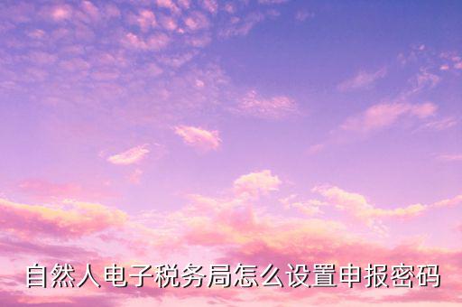 自然人電子稅務(wù)局怎么設(shè)置申報密碼