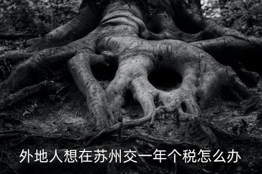蘇州如何補繳個稅，外地人想在蘇州交一年個稅怎么辦