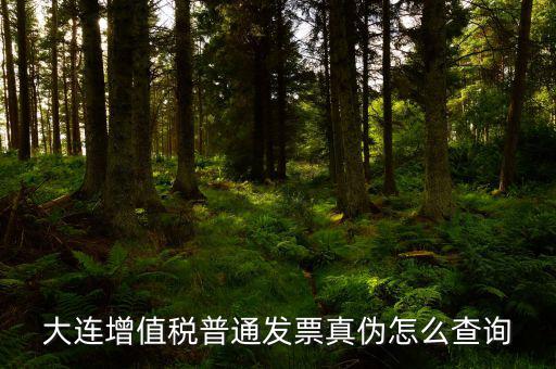 大連定額發(fā)票如何查詢系統(tǒng)，大連增值稅普通發(fā)票真?zhèn)卧趺床樵?/></a></span><span id=