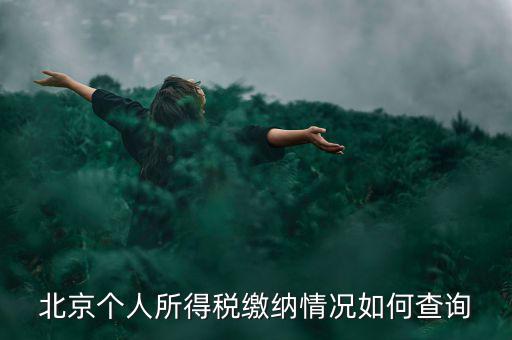 北京地稅個人如何查詢，如何查詢個人所得稅繳稅記錄