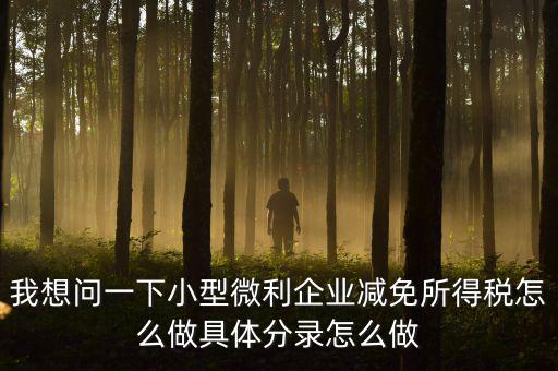 小微企業(yè)所得稅如何減免，我想問一下小型微利企業(yè)減免所得稅怎么做具體分錄怎么做
