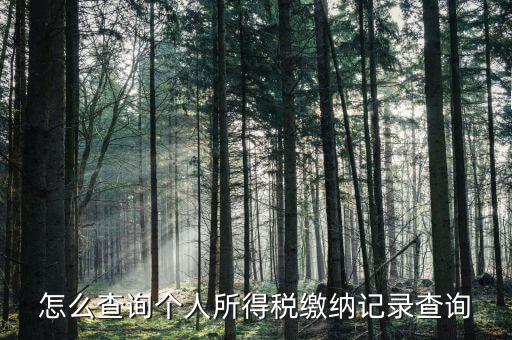 沈陽(yáng)如何查個(gè)人所得稅繳費(fèi)明細(xì)，如何查詢個(gè)人所得稅申報(bào)明細(xì)情況