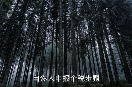 自然人稅收如何申報(bào)表，自然人申報(bào)個(gè)稅步驟