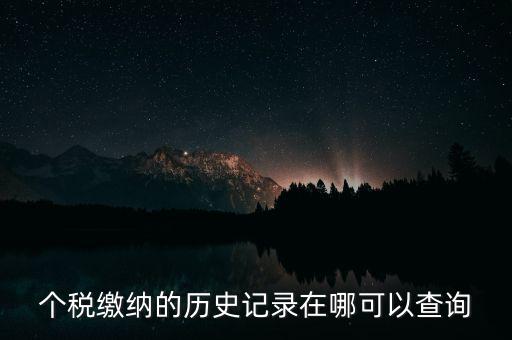 如何查詢個(gè)人所得稅繳費(fèi)記錄，怎么查詢最新個(gè)人所得稅繳納記錄