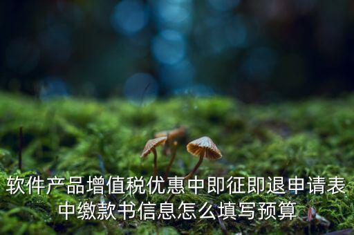 即征即退的退稅申請表如何填寫，軟件產品增值稅優(yōu)惠中即征即退申請表中繳款書信息怎么填寫預算