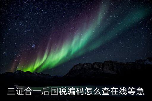個(gè)人稅務(wù)編號(hào)如何查，請(qǐng)問(wèn)在哪里可以查到納稅人編碼