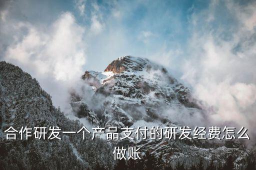 合作研發(fā)一個產(chǎn)品支付的研發(fā)經(jīng)費怎么做賬